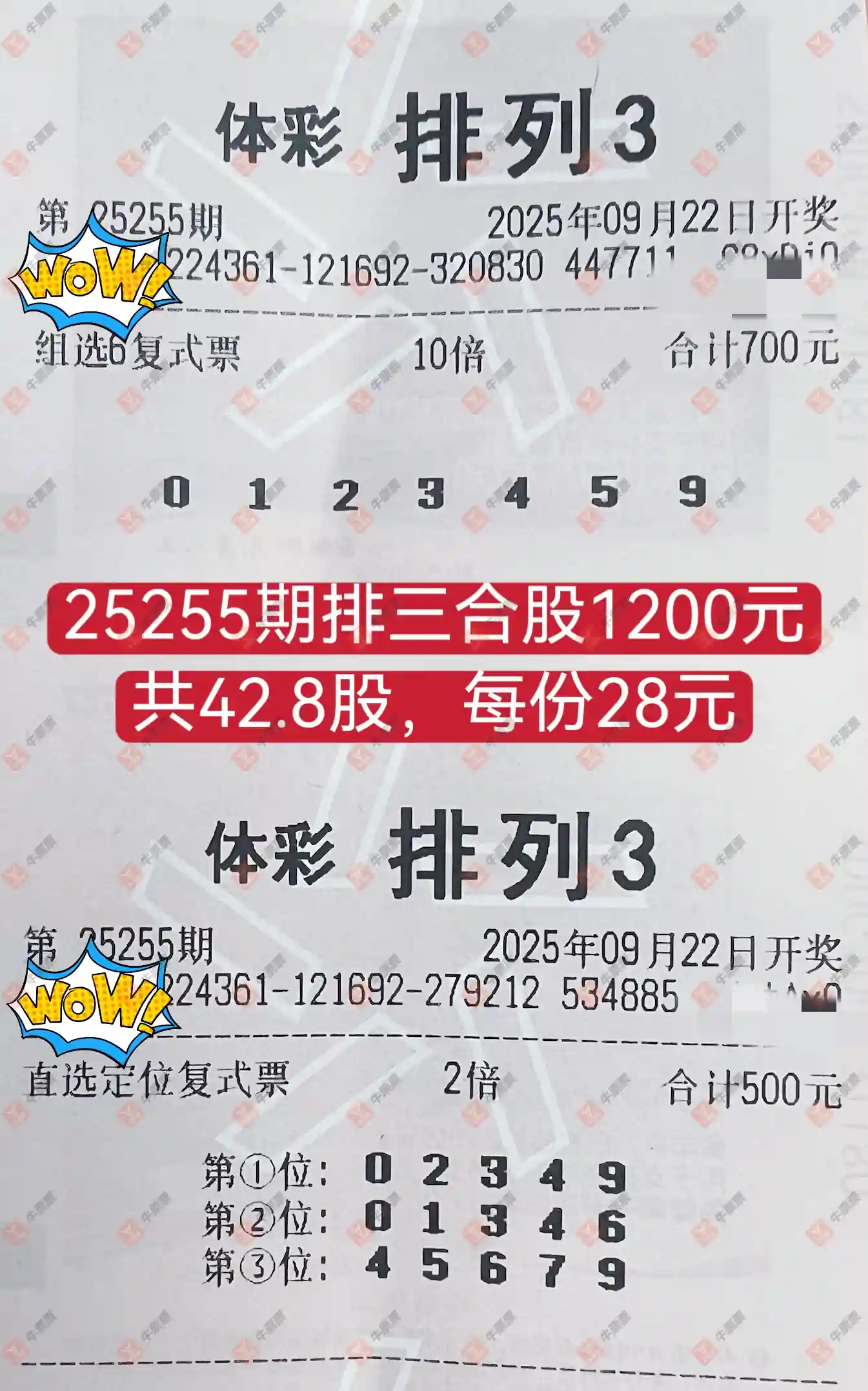 牛票票