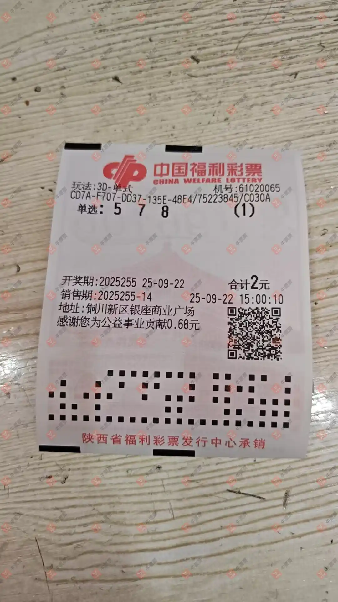 牛票票