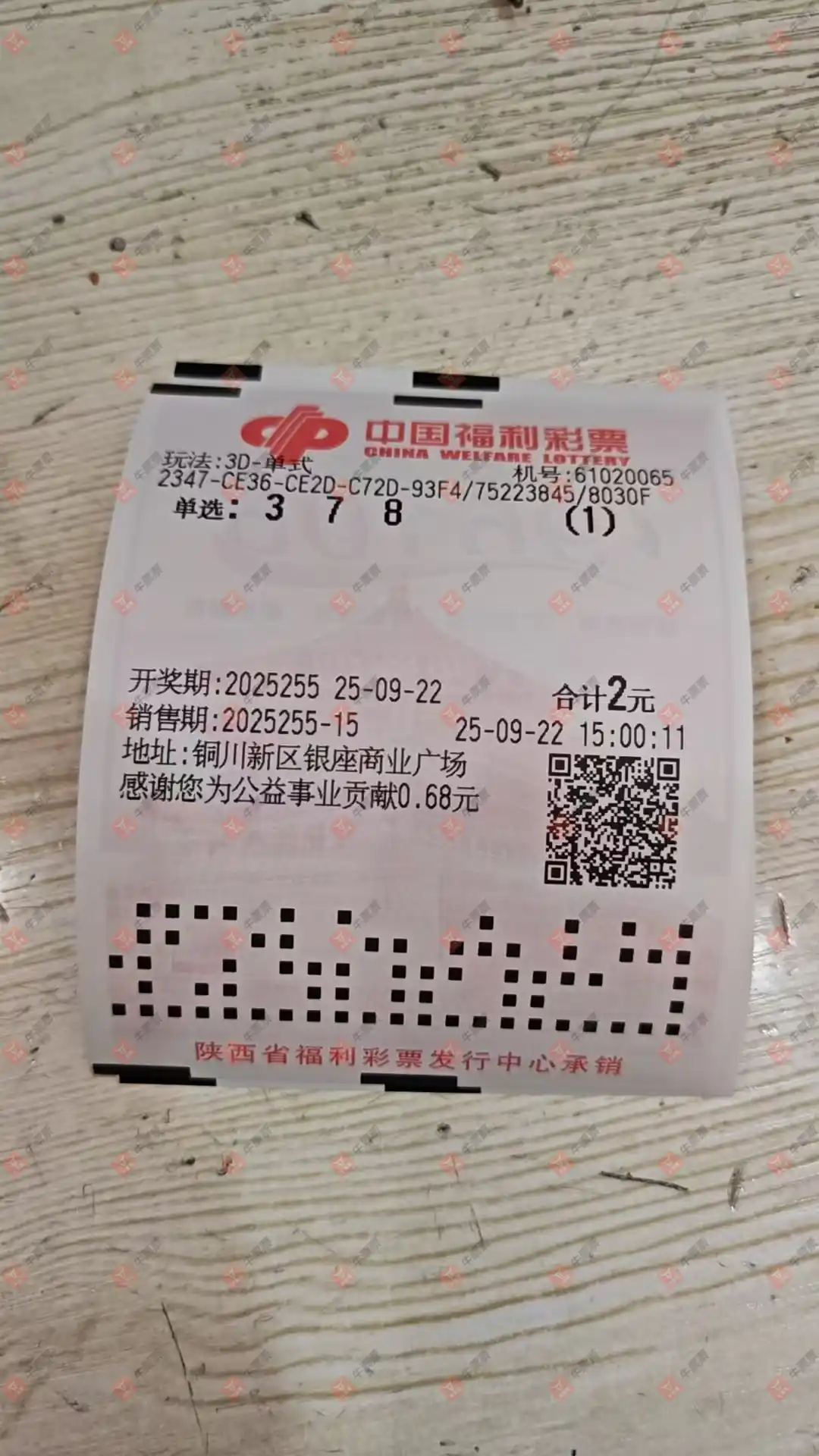 牛票票
