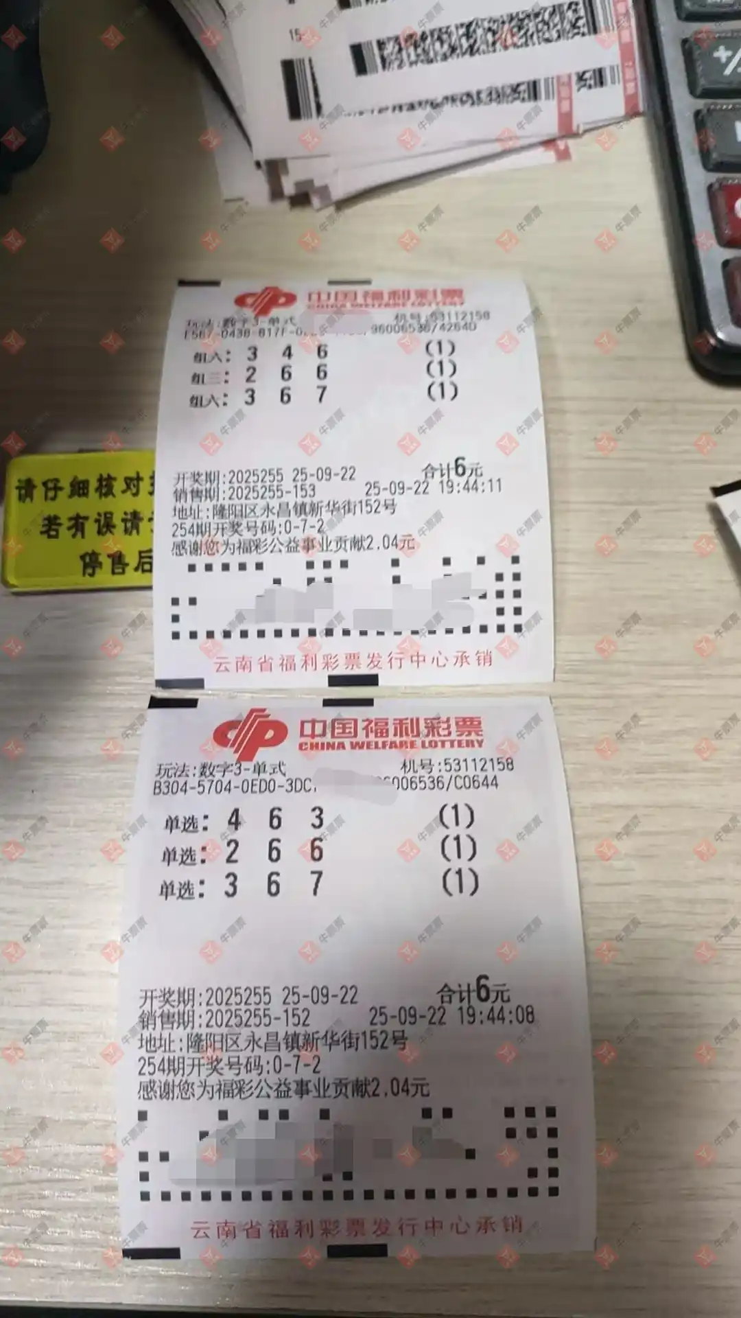 牛票票