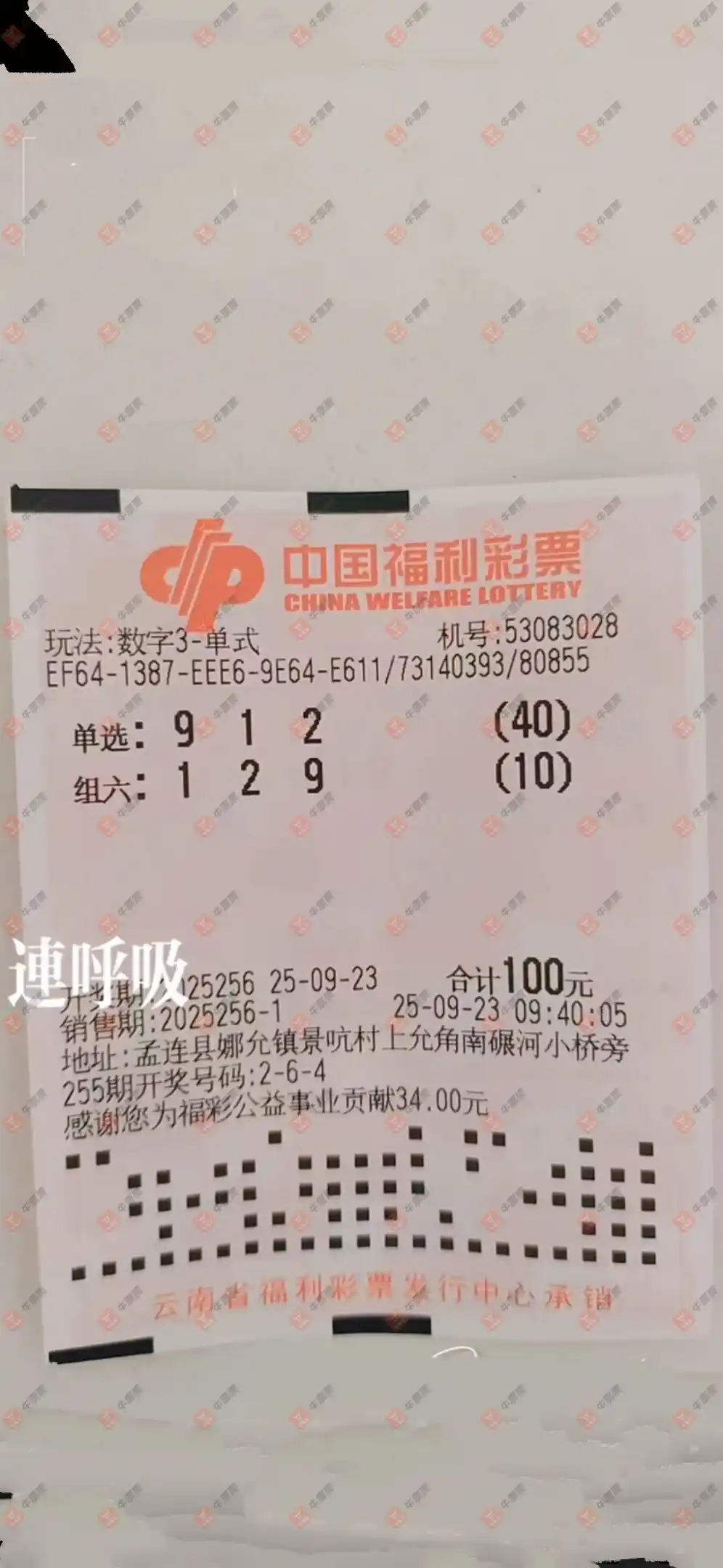 牛票票