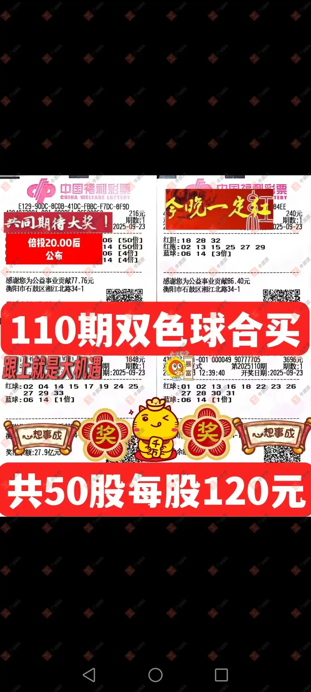 牛票票