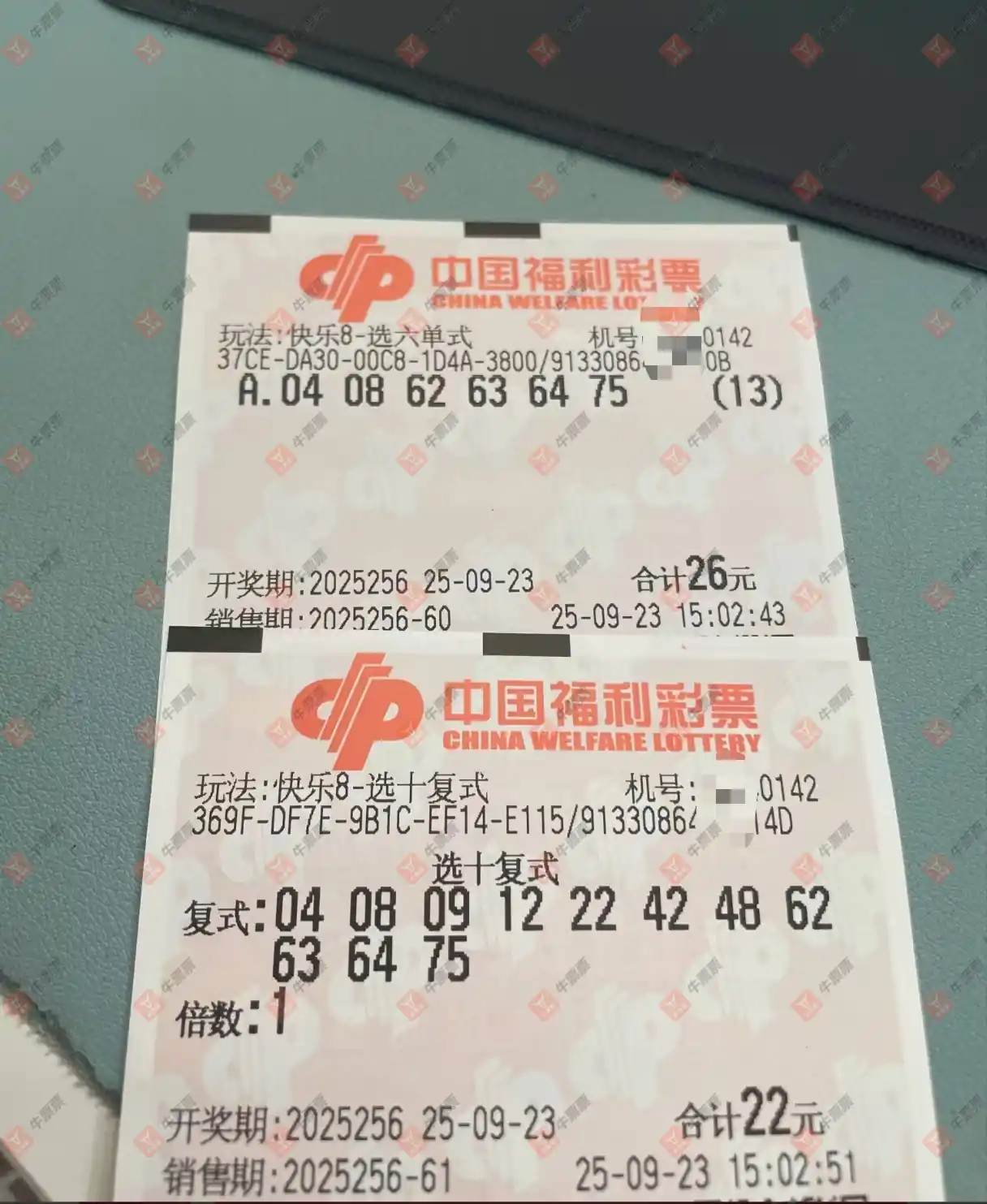 牛票票