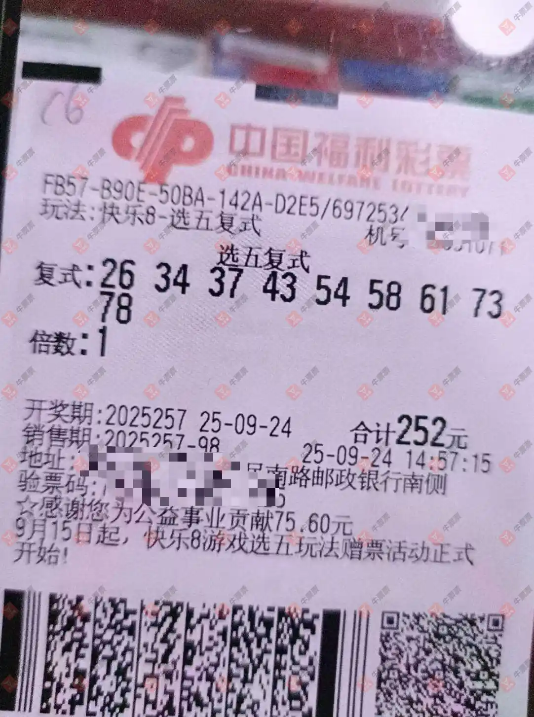 牛票票