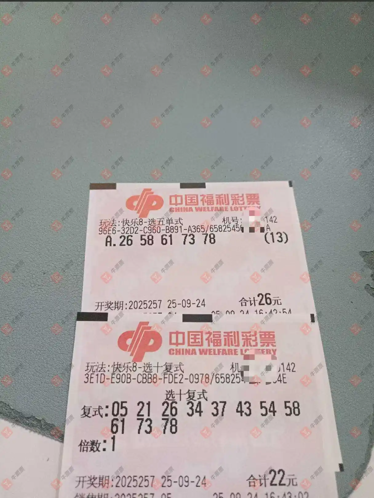 牛票票