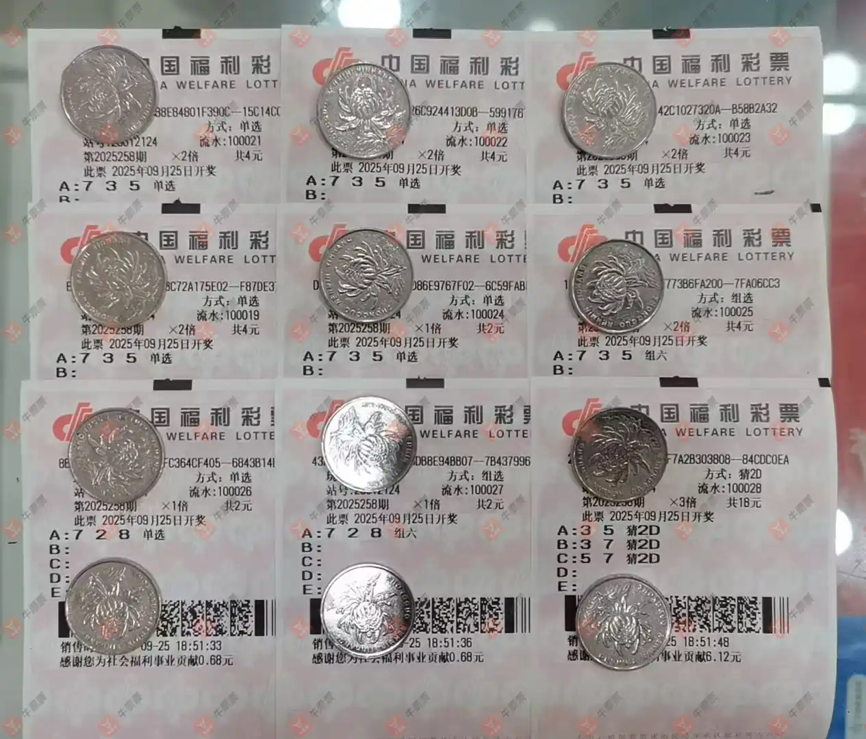 牛票票