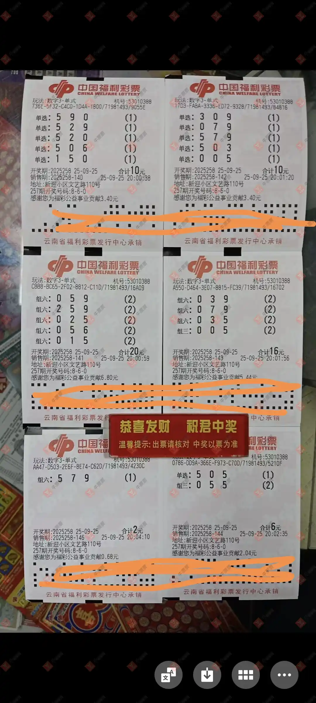 牛票票