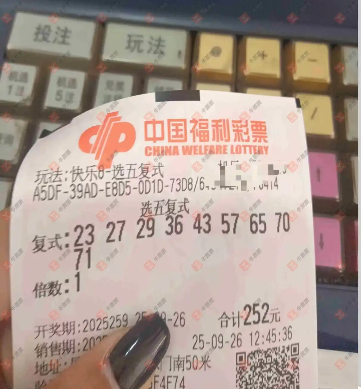 牛票票