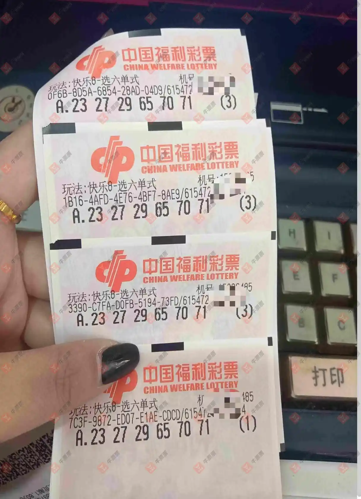 牛票票