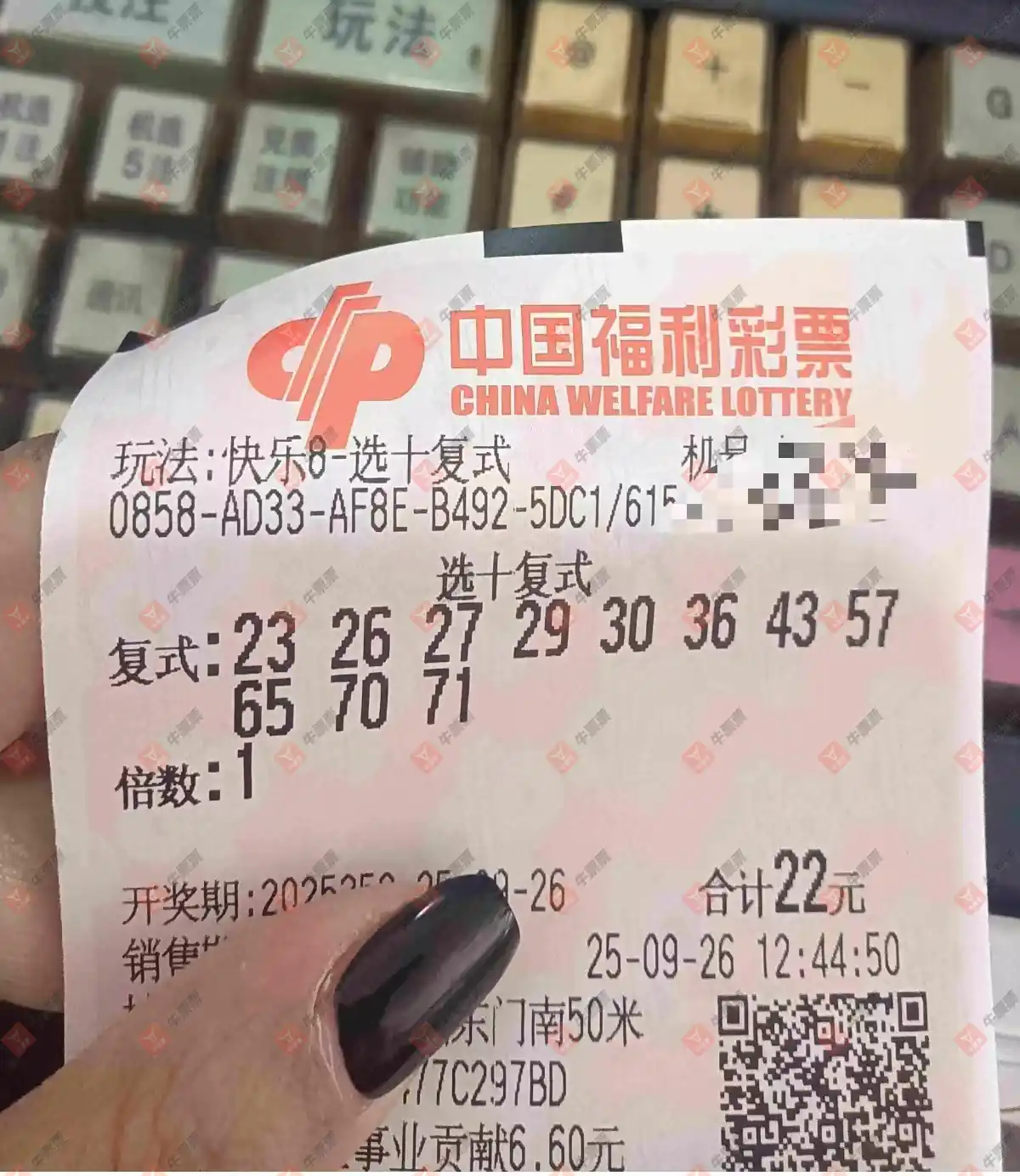 牛票票