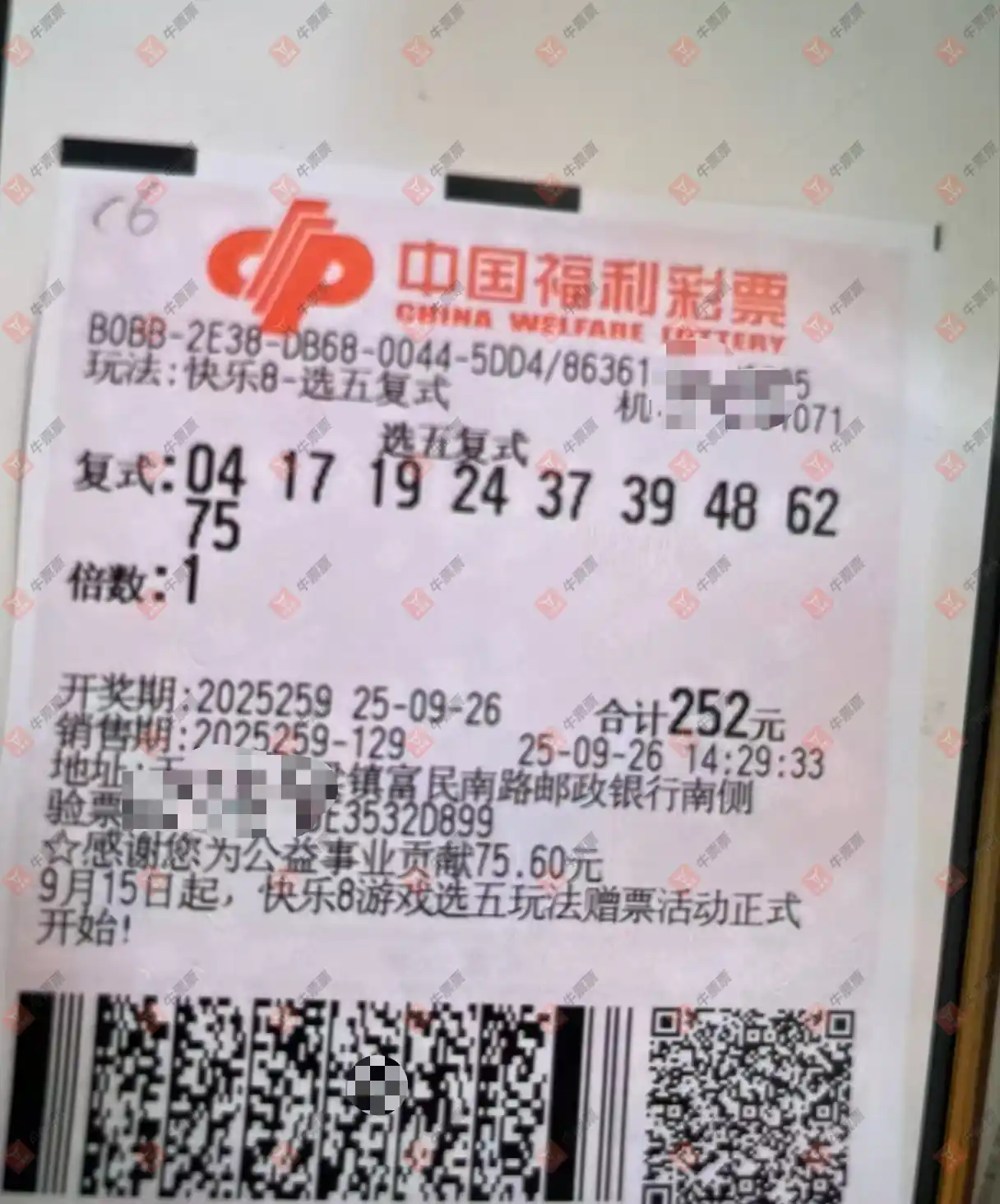牛票票