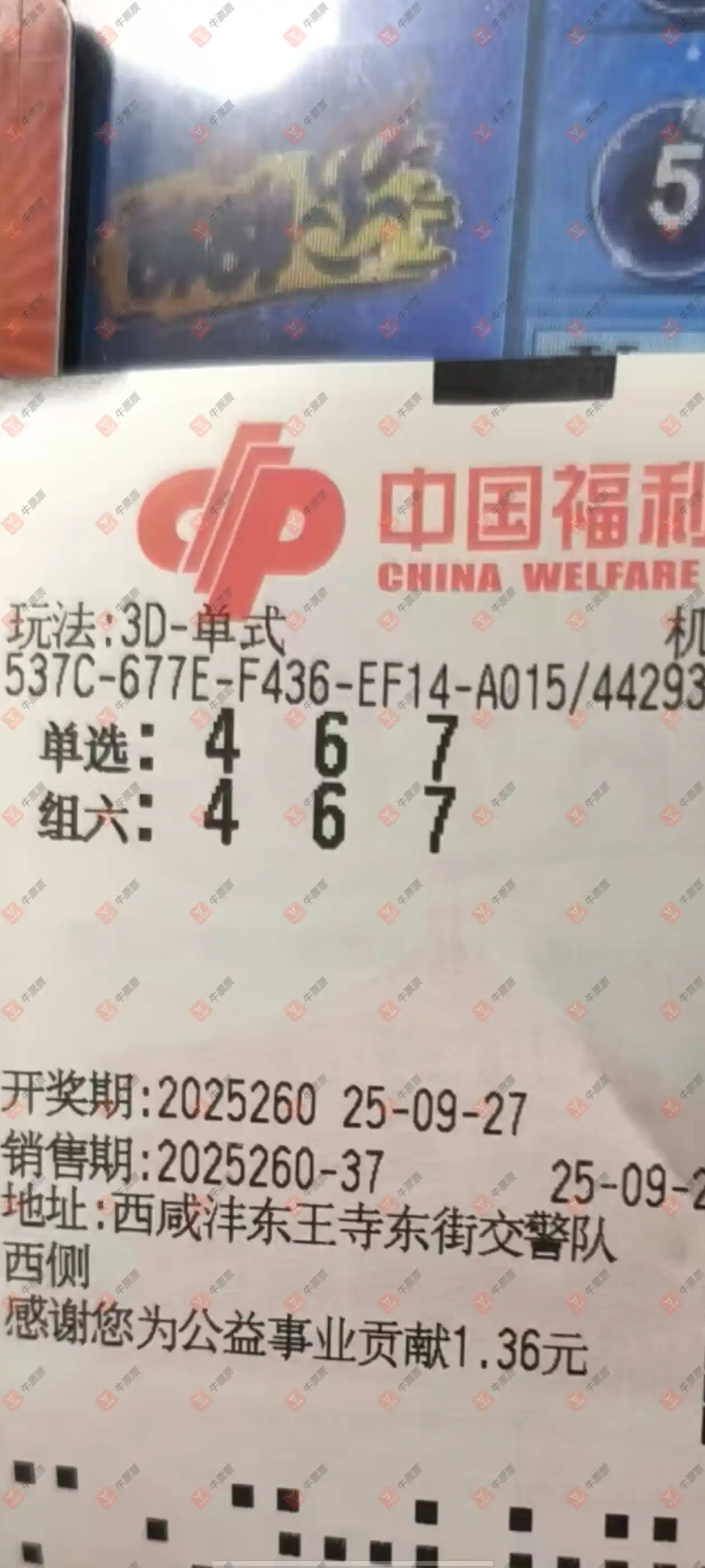 牛票票