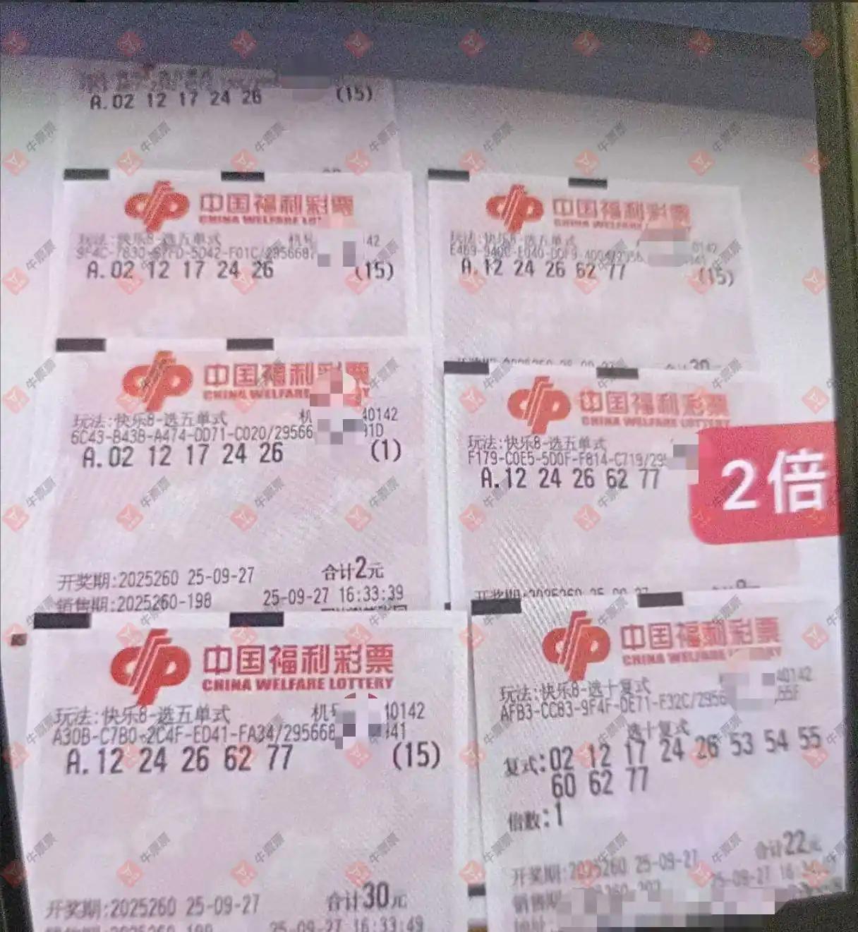 牛票票