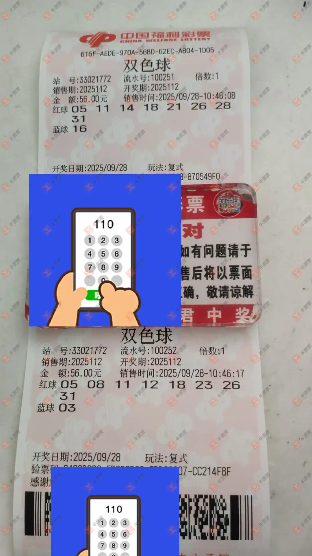 牛票票