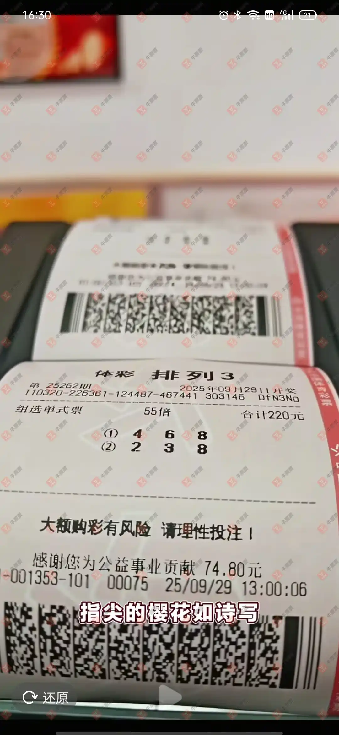 牛票票