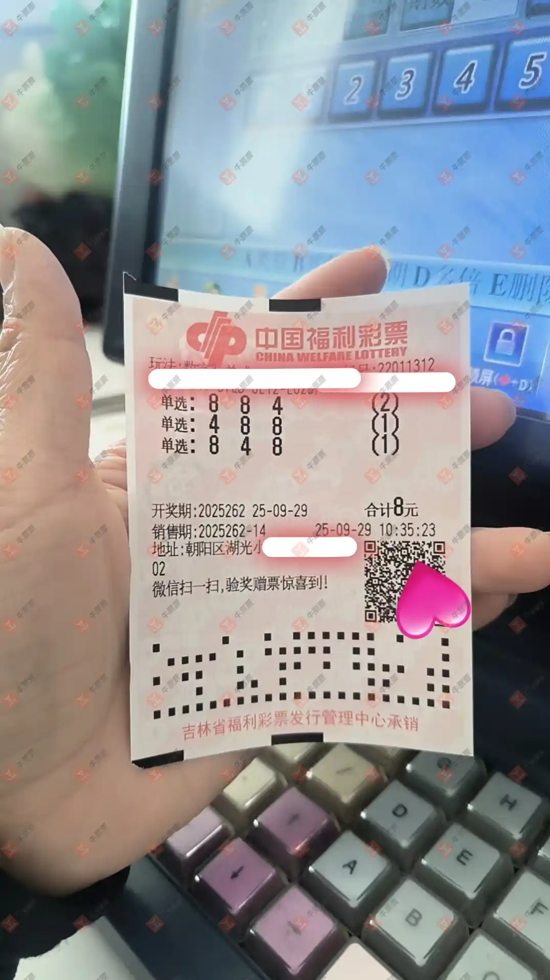 牛票票