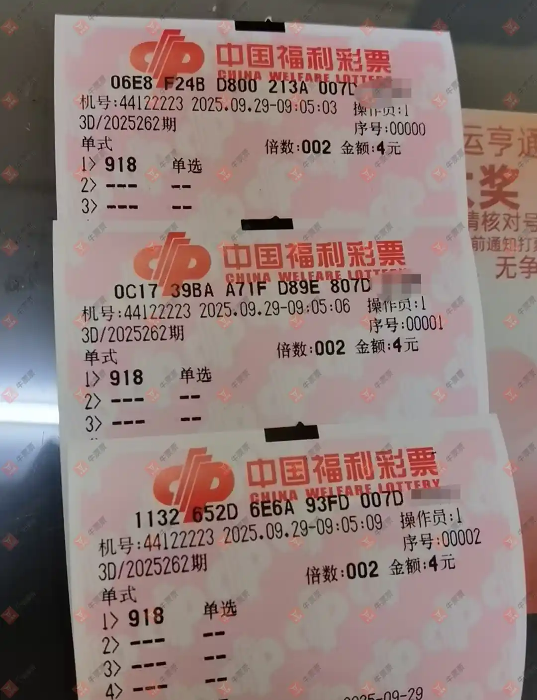 牛票票