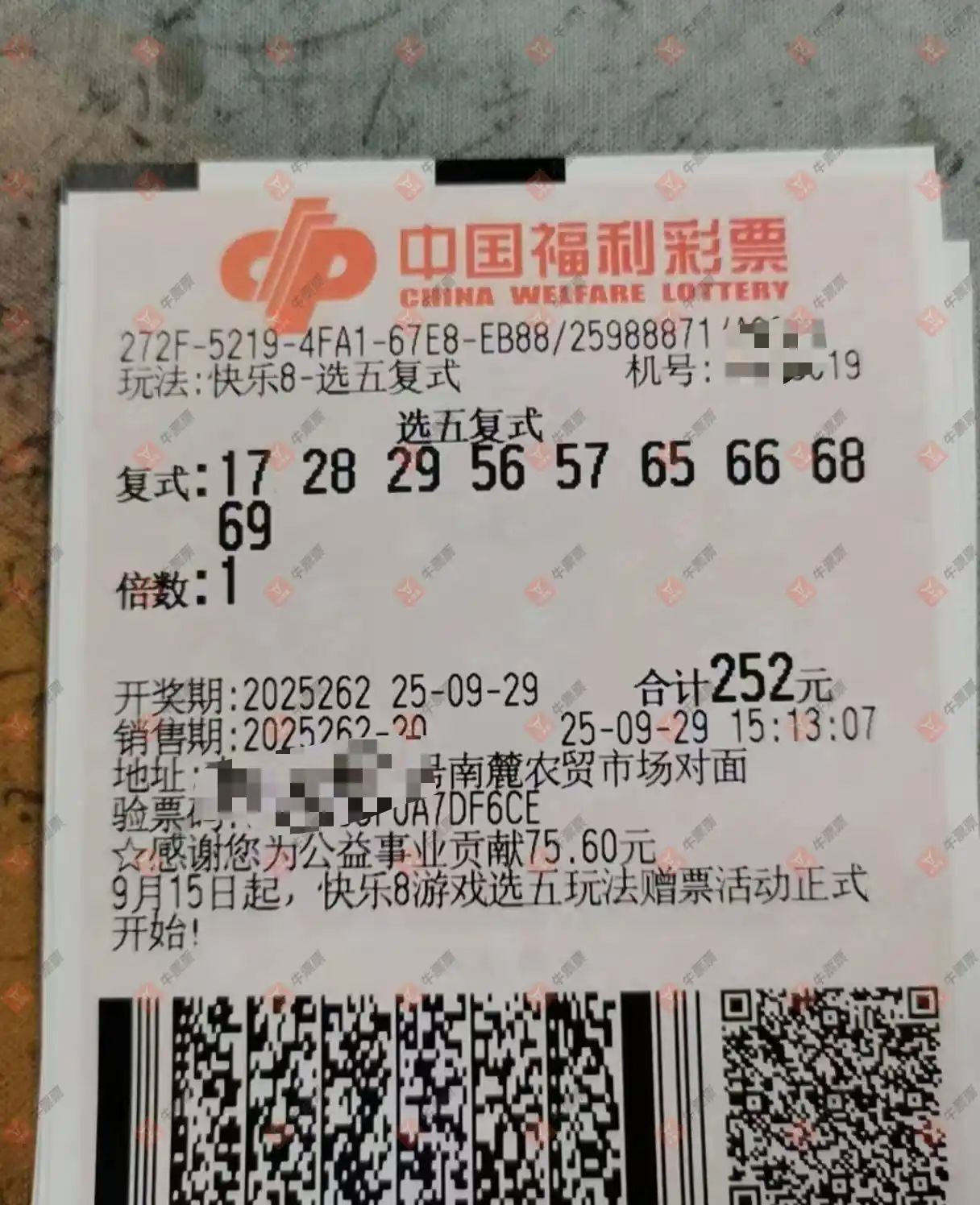 牛票票