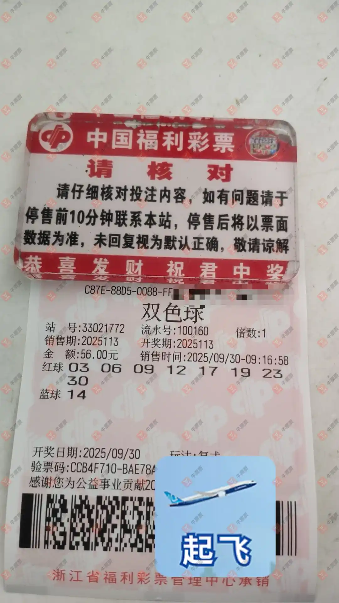牛票票