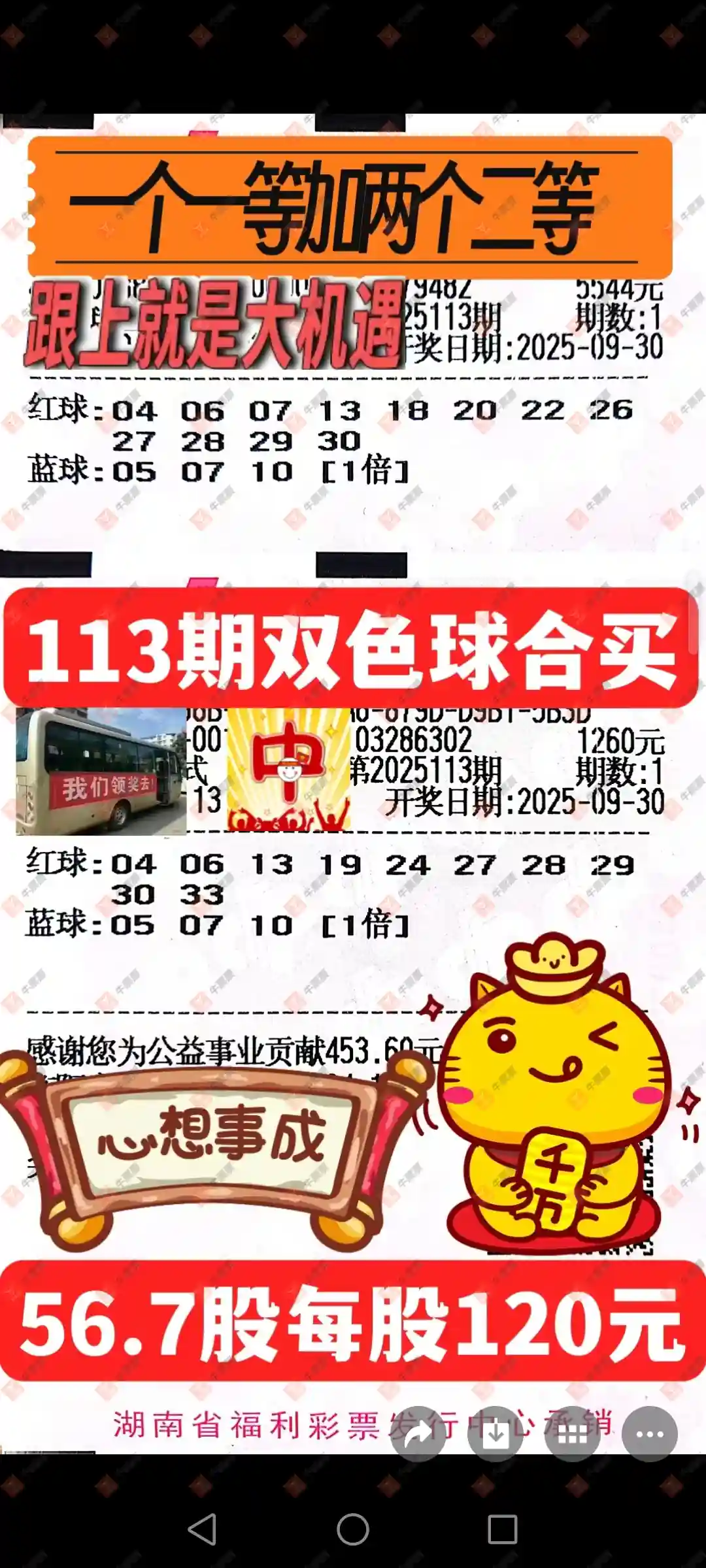 牛票票