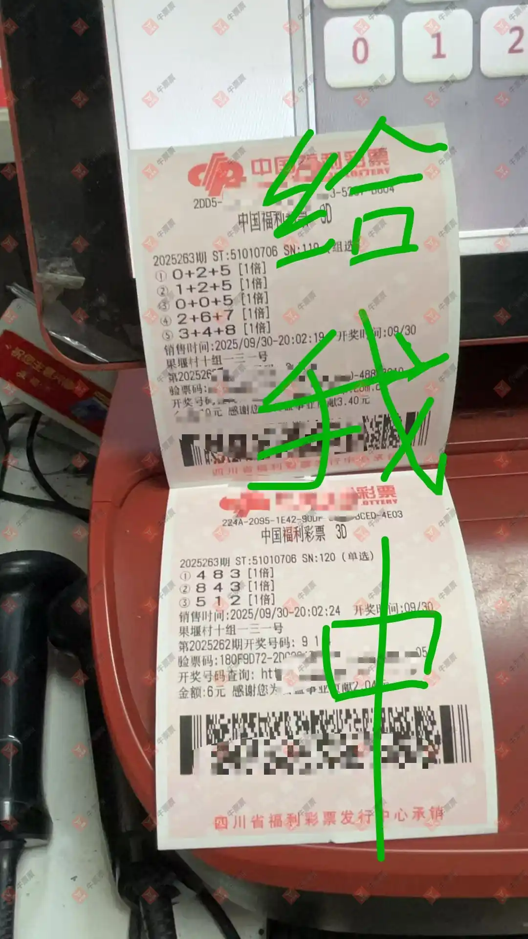 牛票票