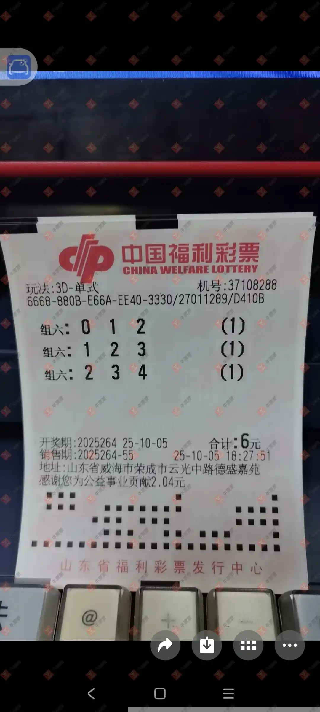 牛票票