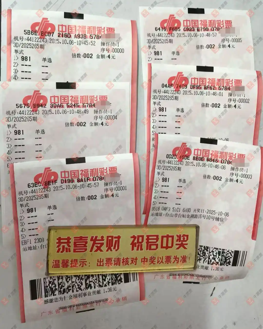 牛票票