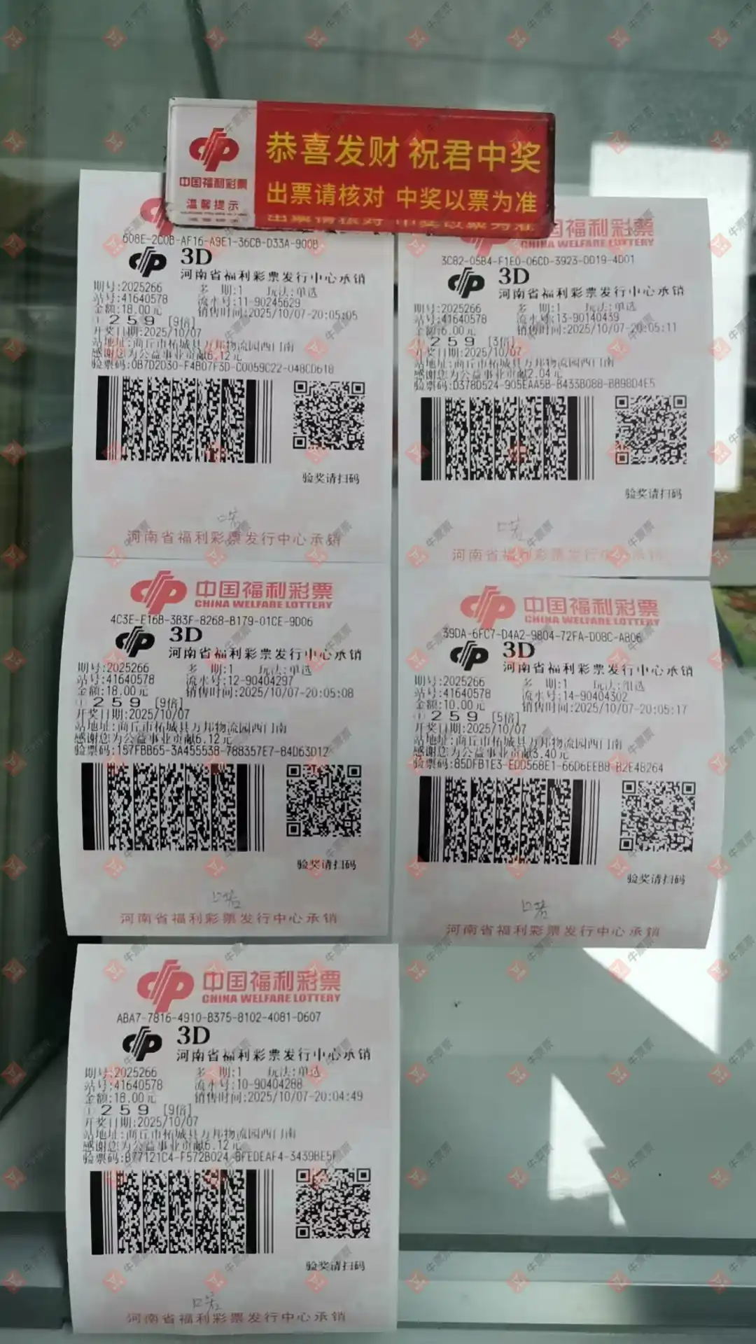 牛票票