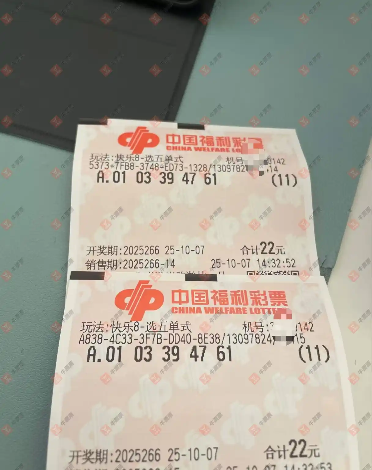牛票票