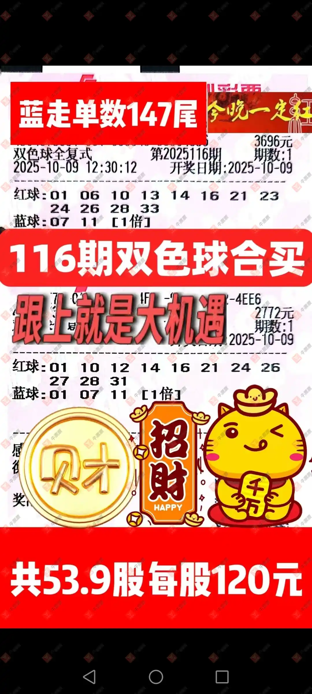 牛票票