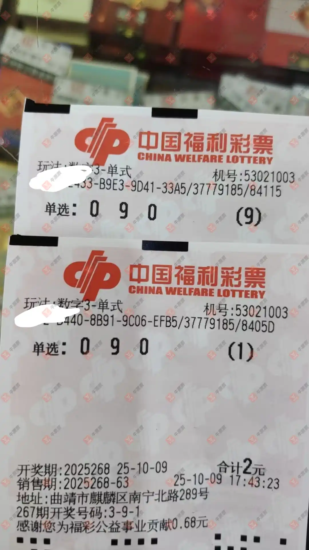 牛票票