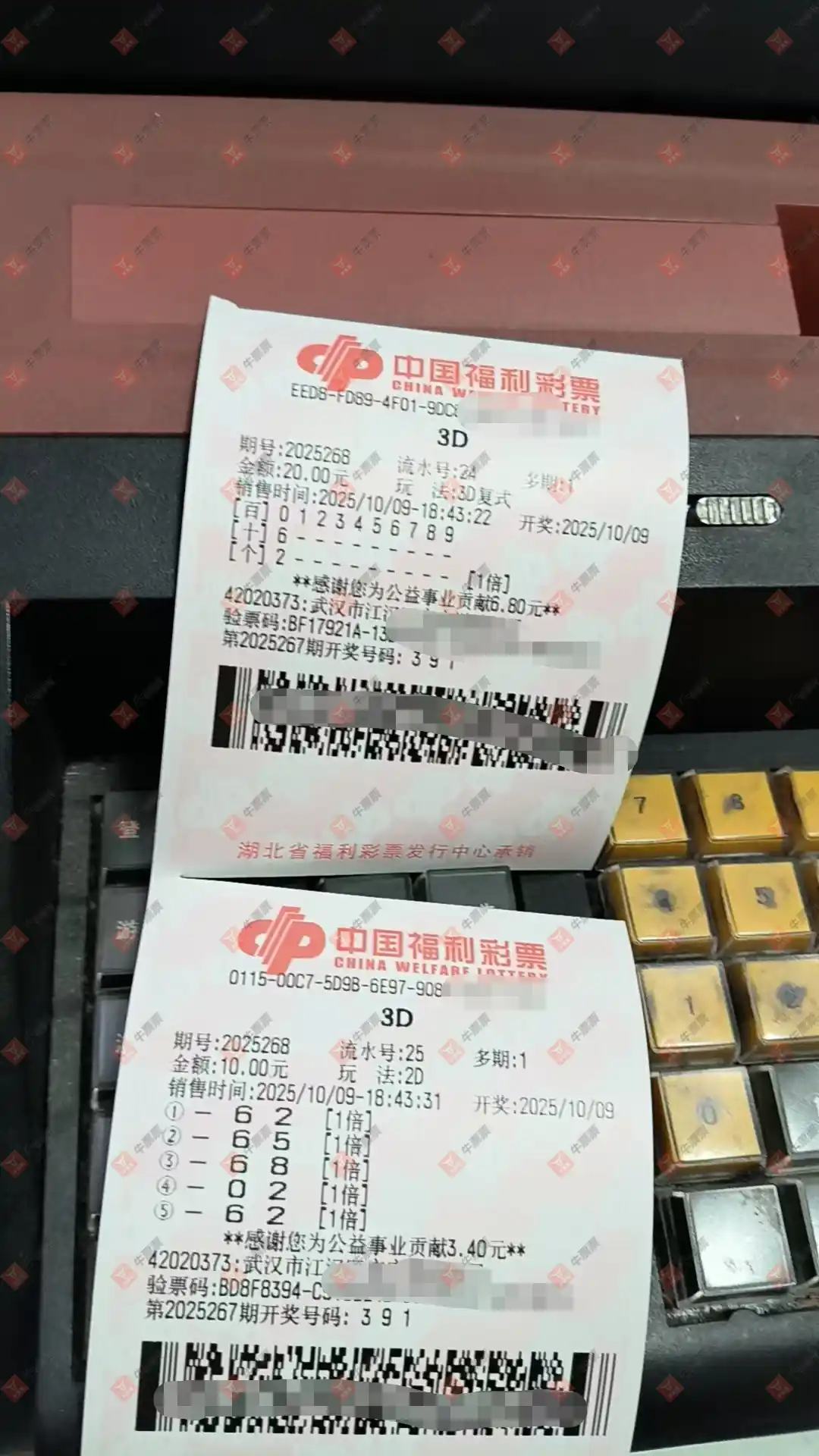 牛票票