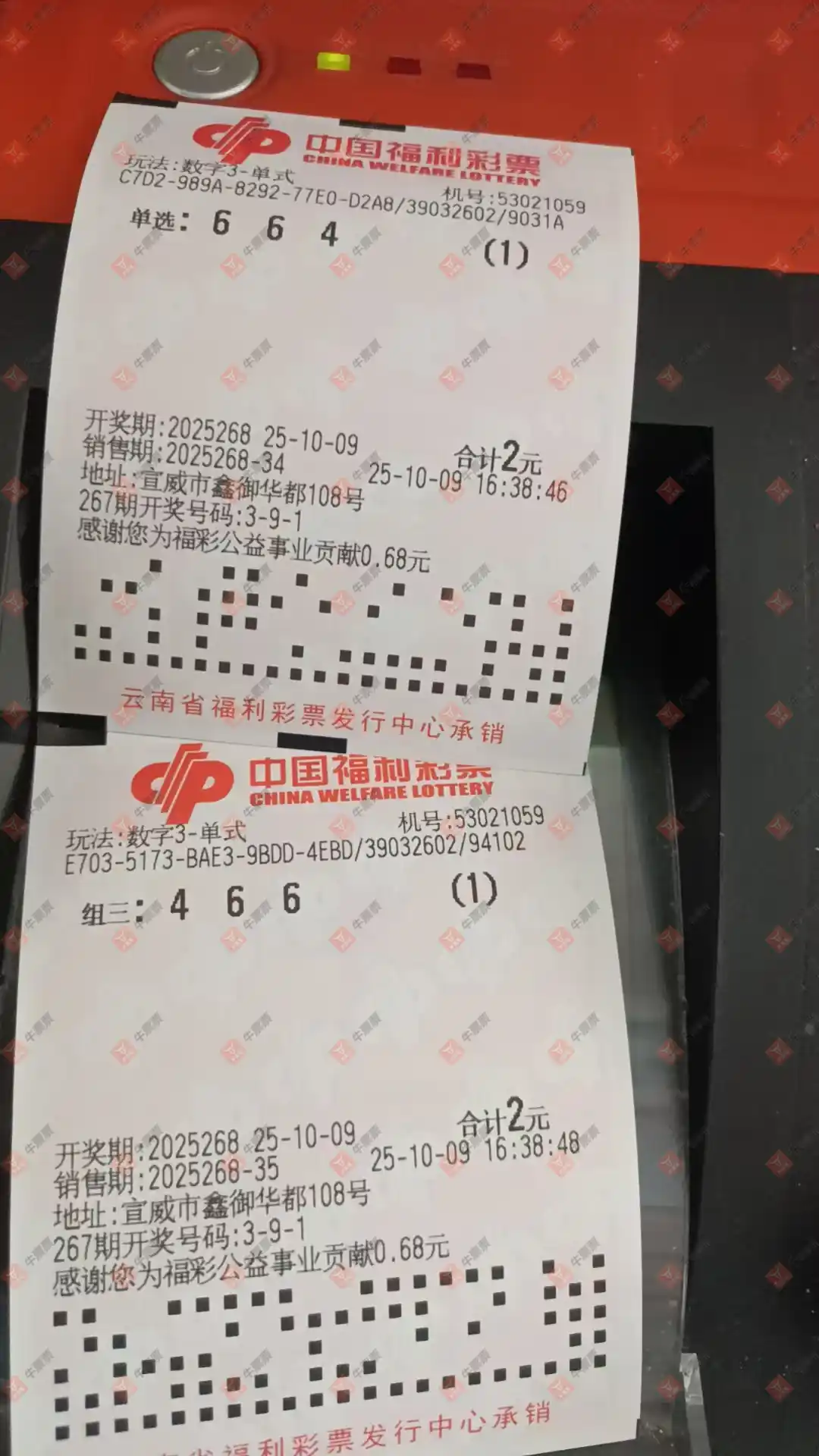 牛票票