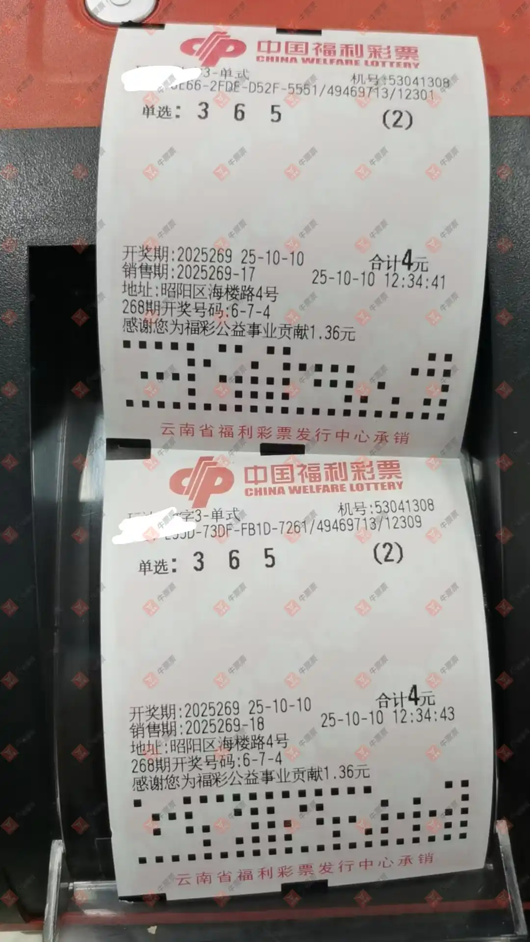 牛票票