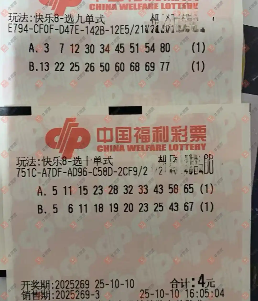 牛票票