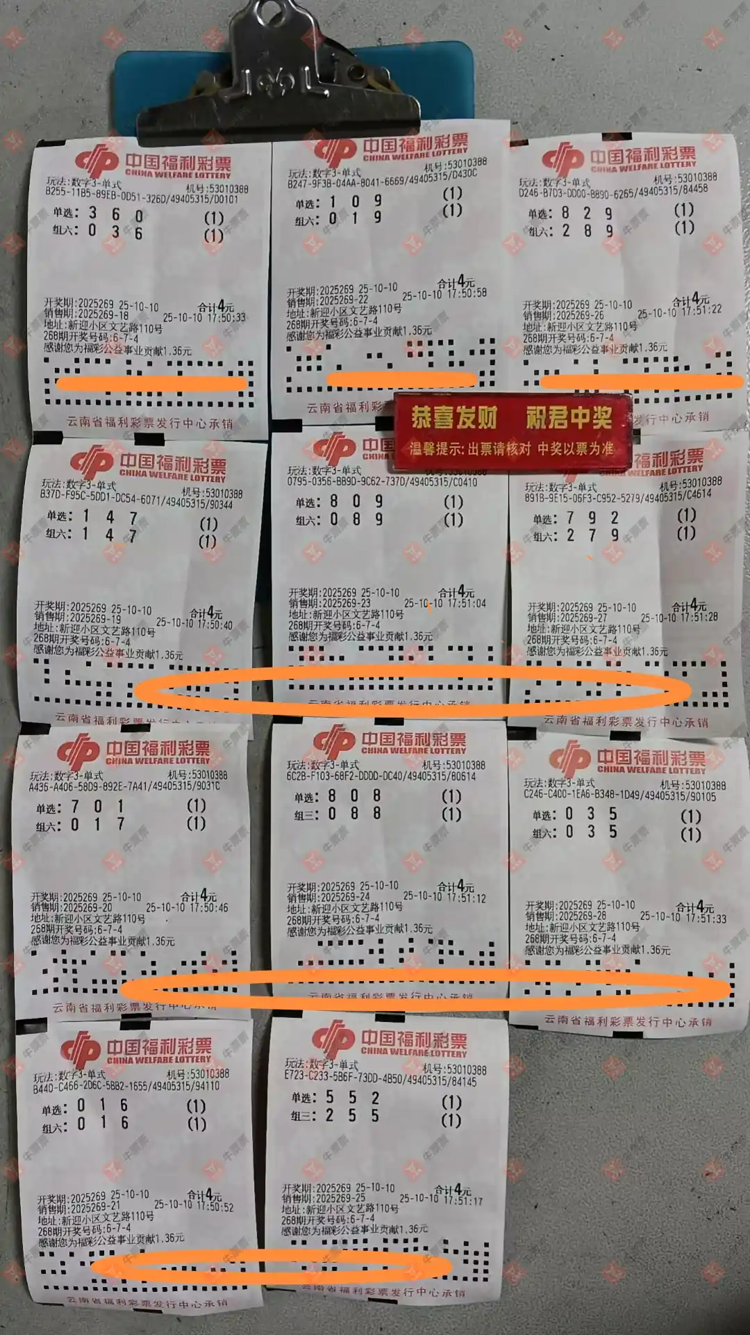 牛票票