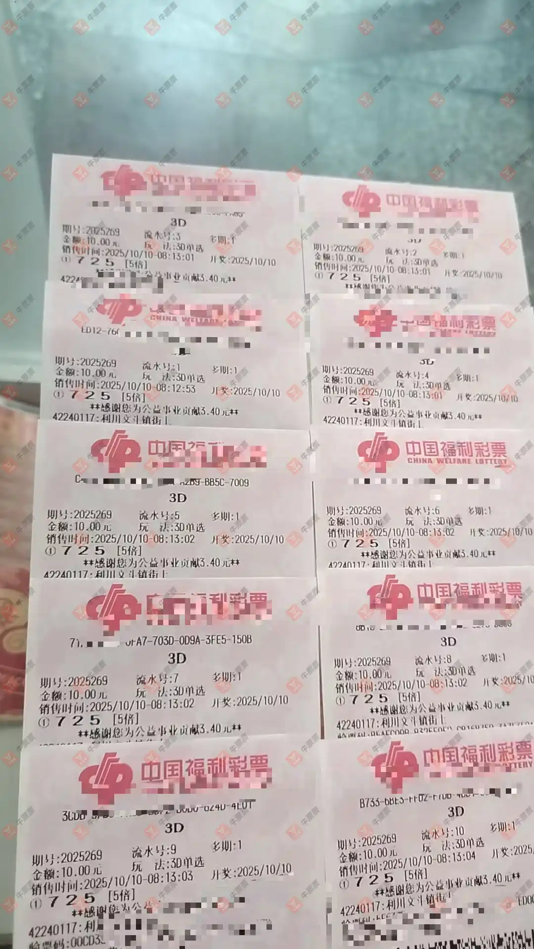牛票票