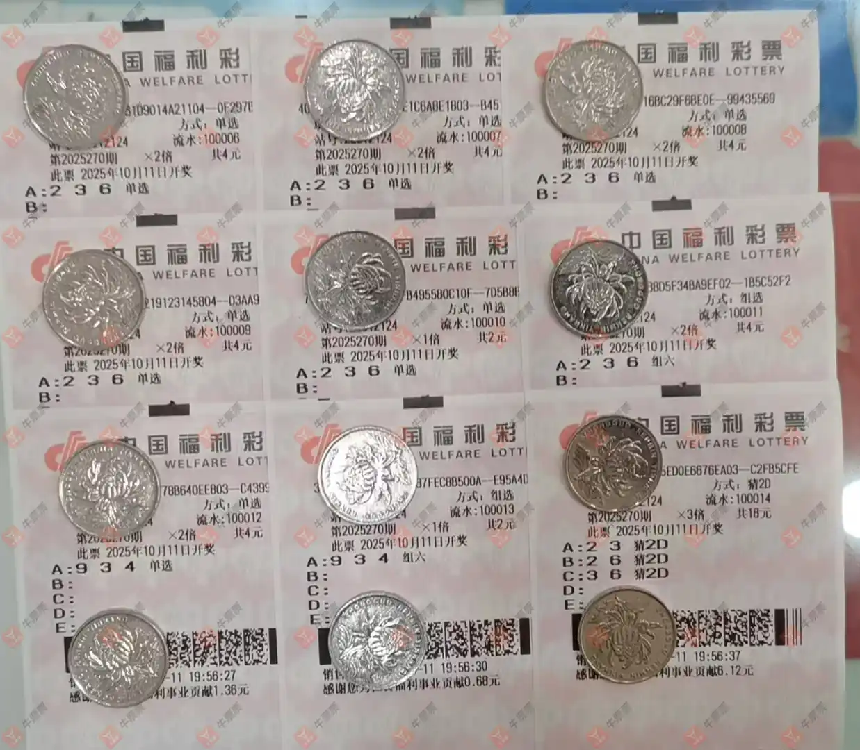 牛票票