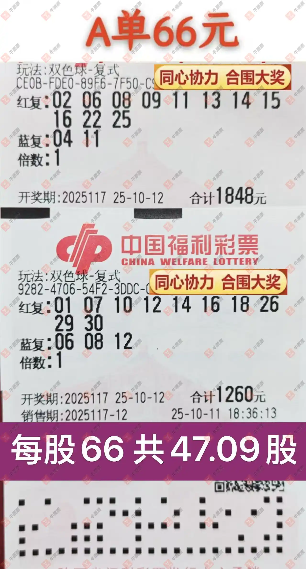 牛票票