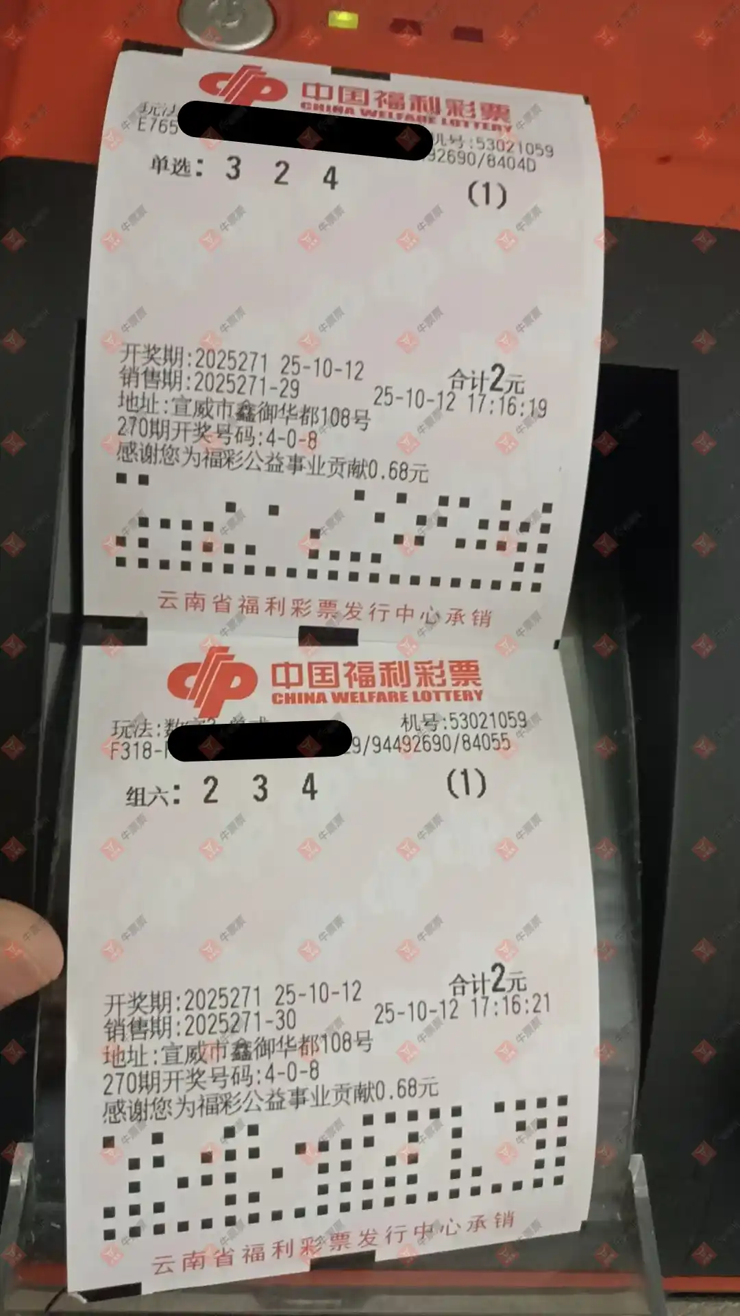 牛票票