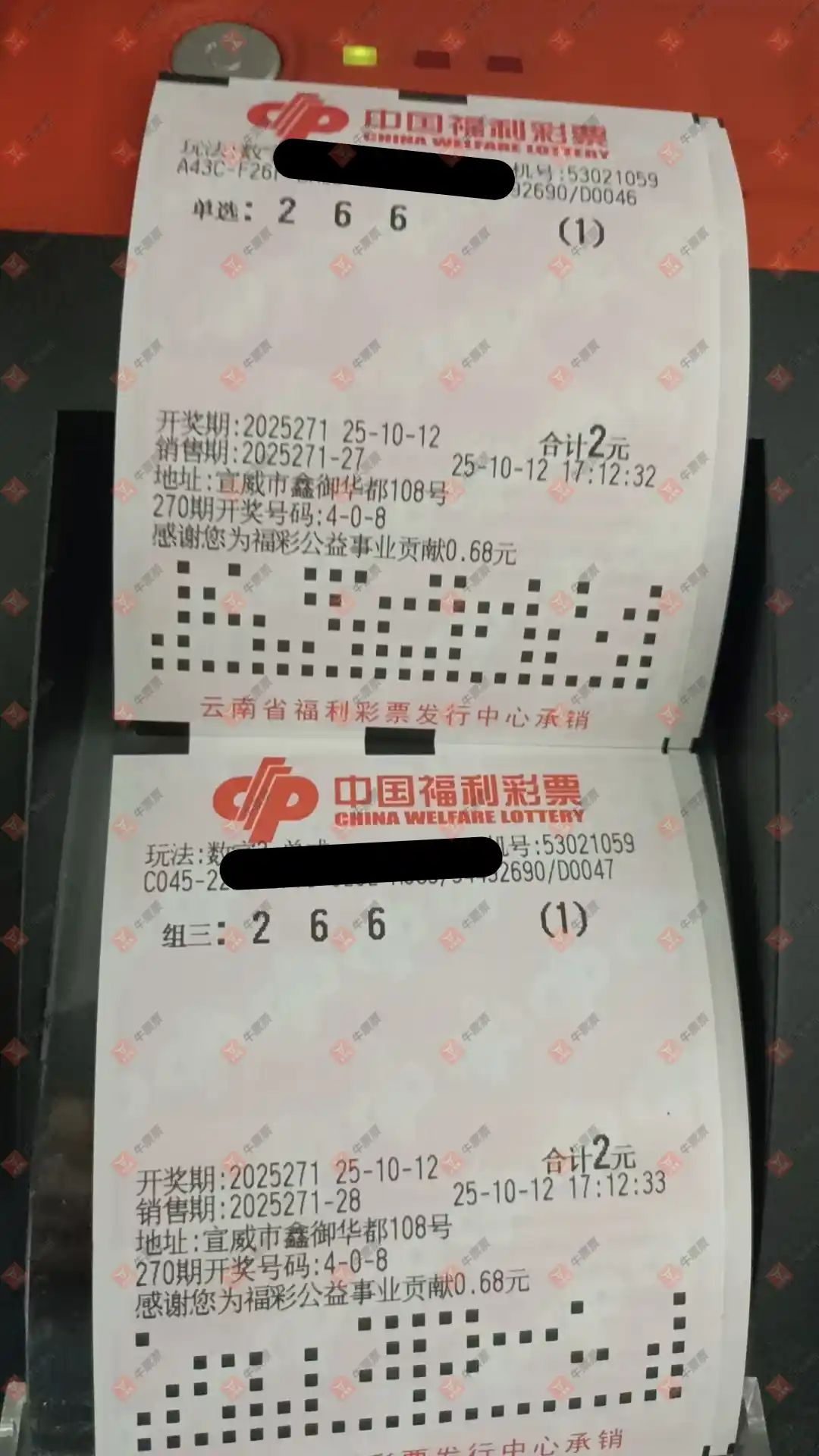 牛票票