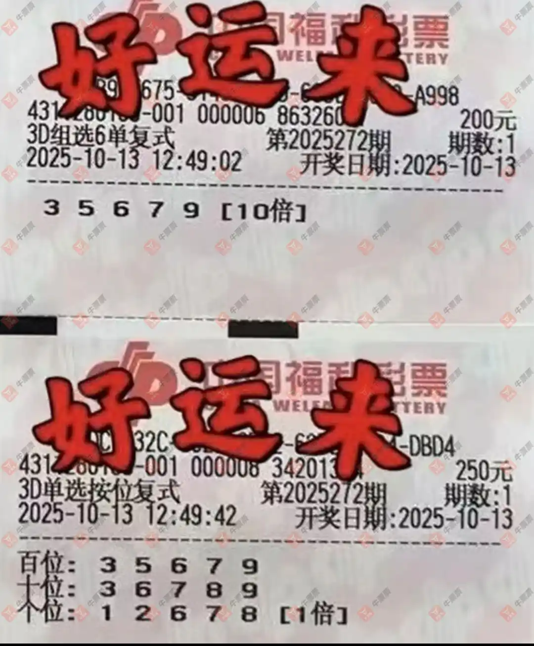 牛票票