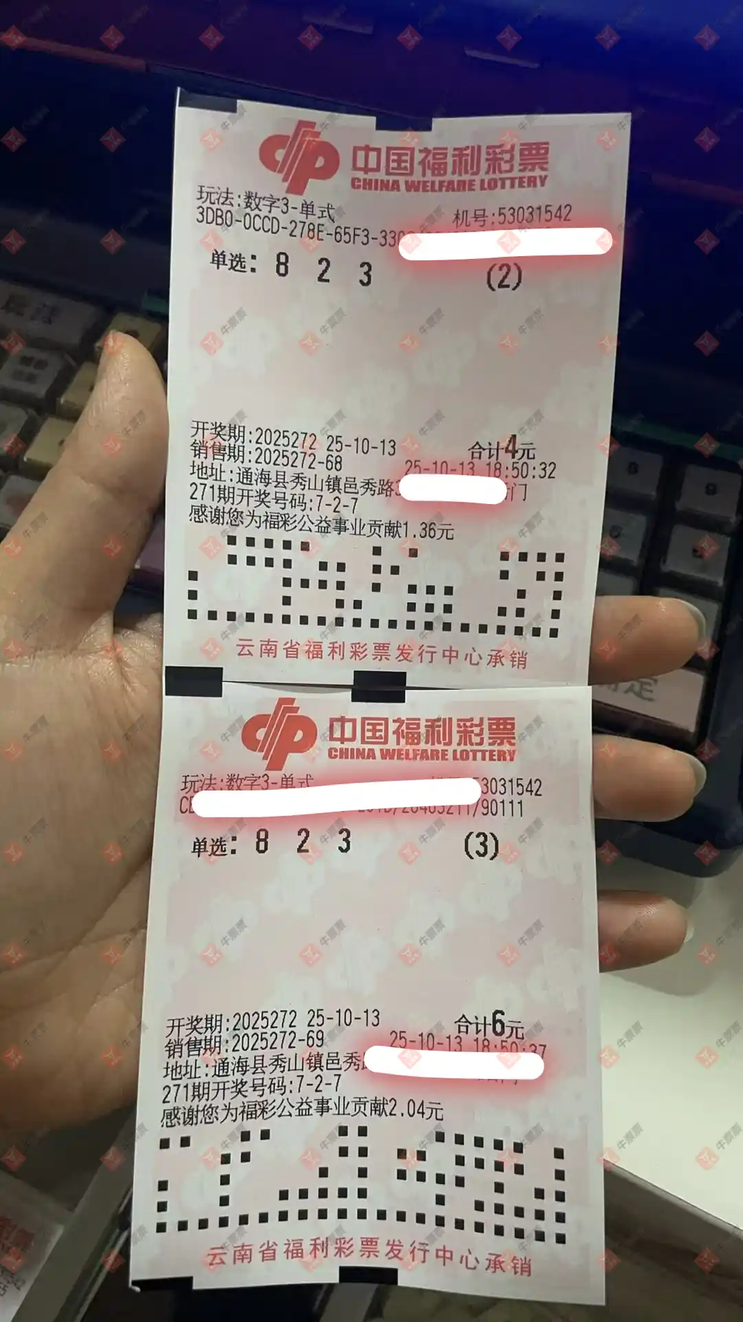 牛票票