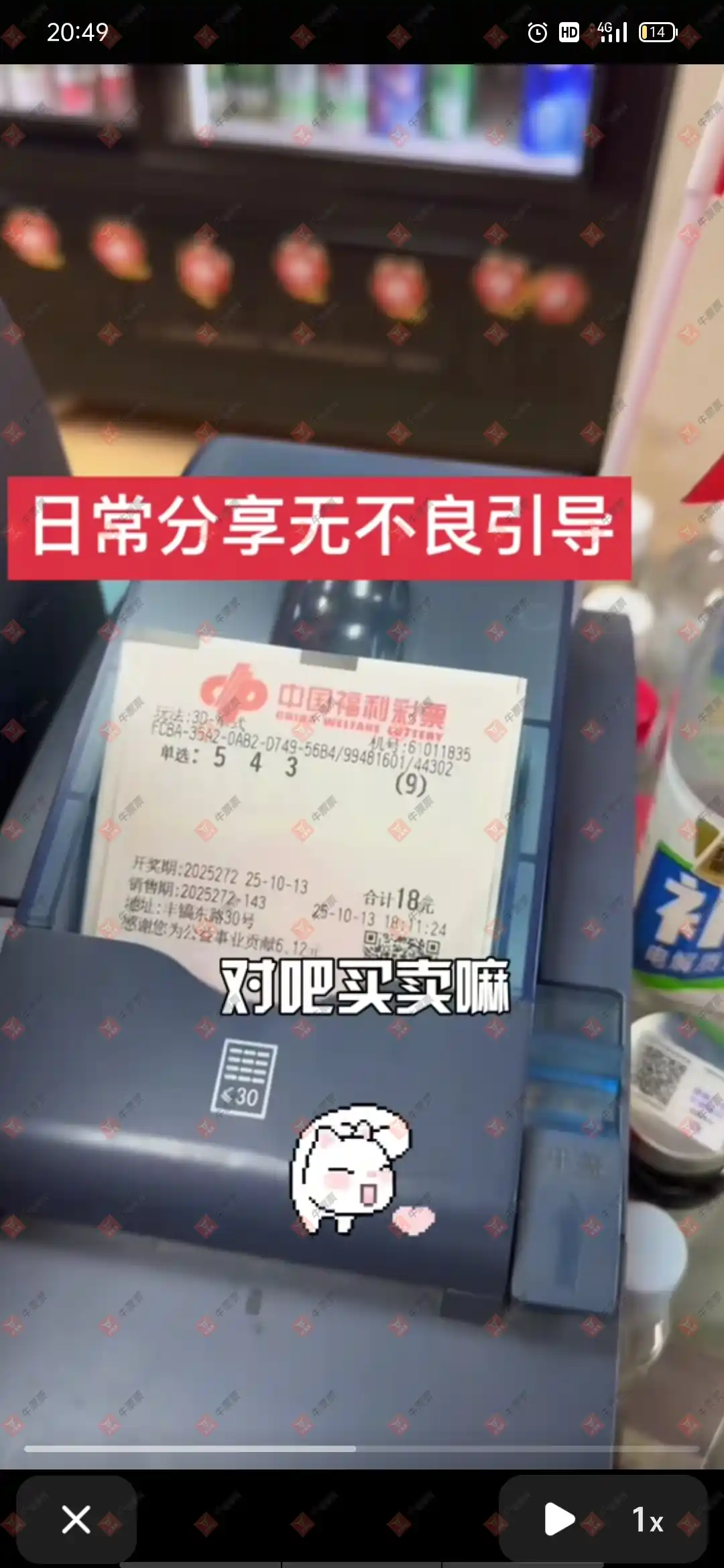 牛票票