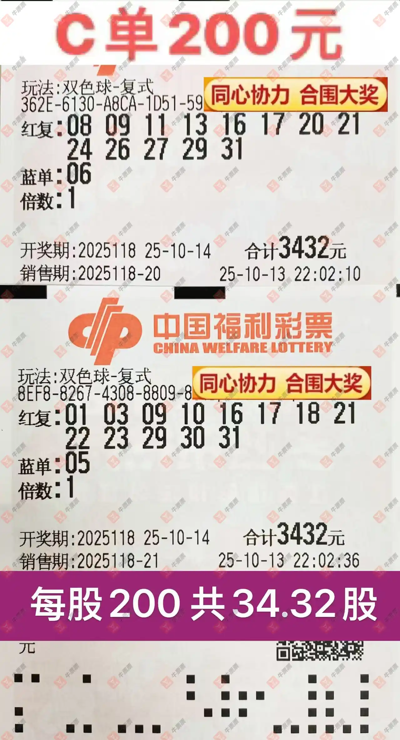 牛票票