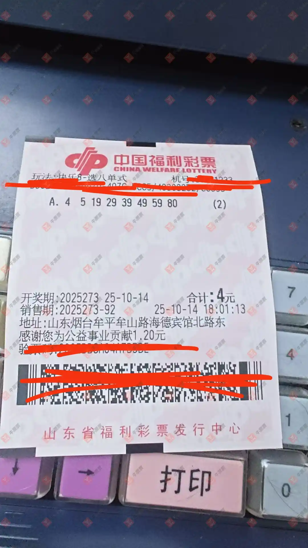 牛票票