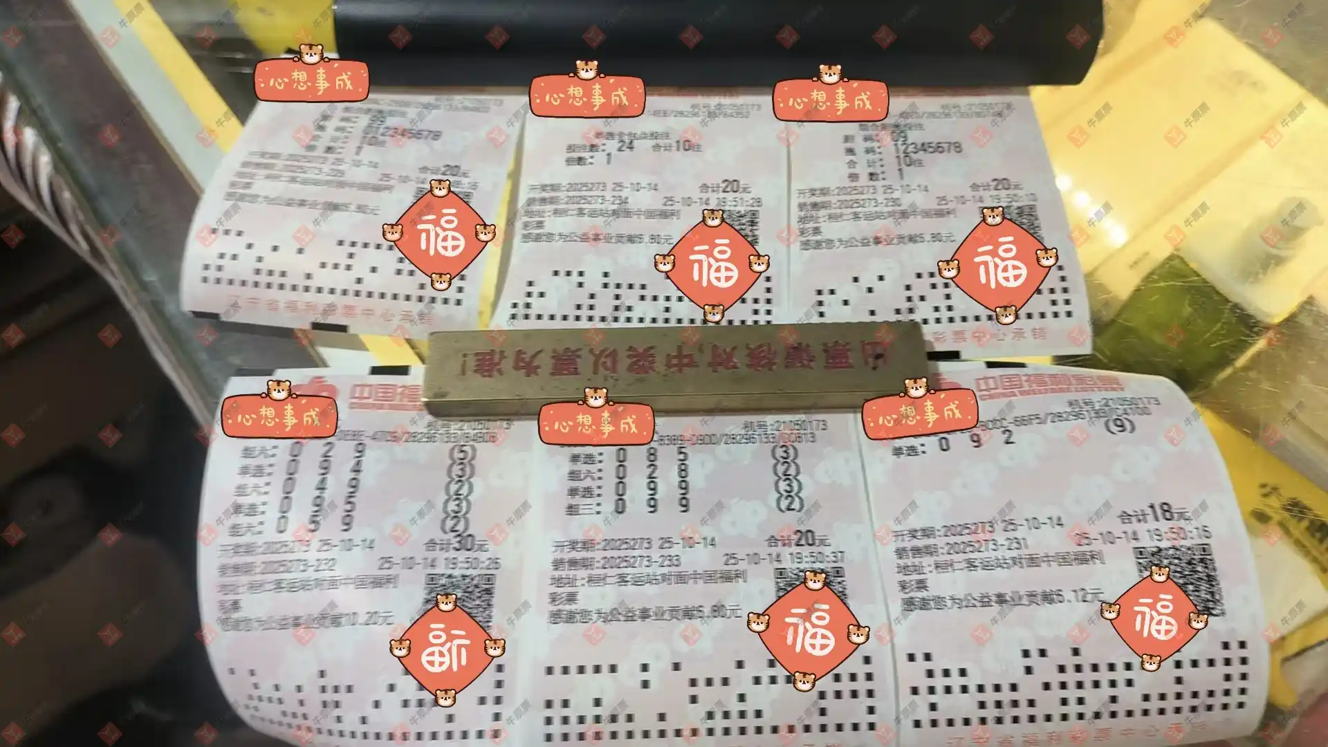 牛票票