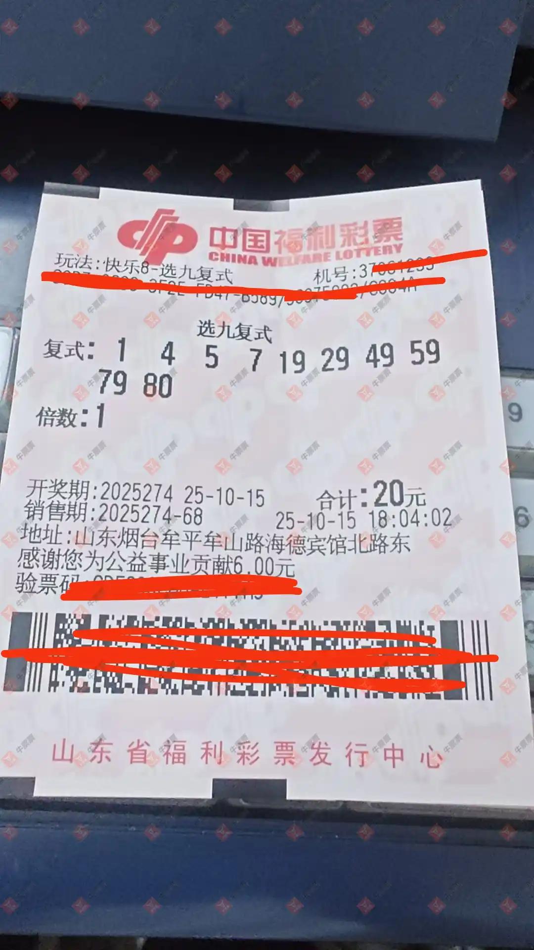 牛票票