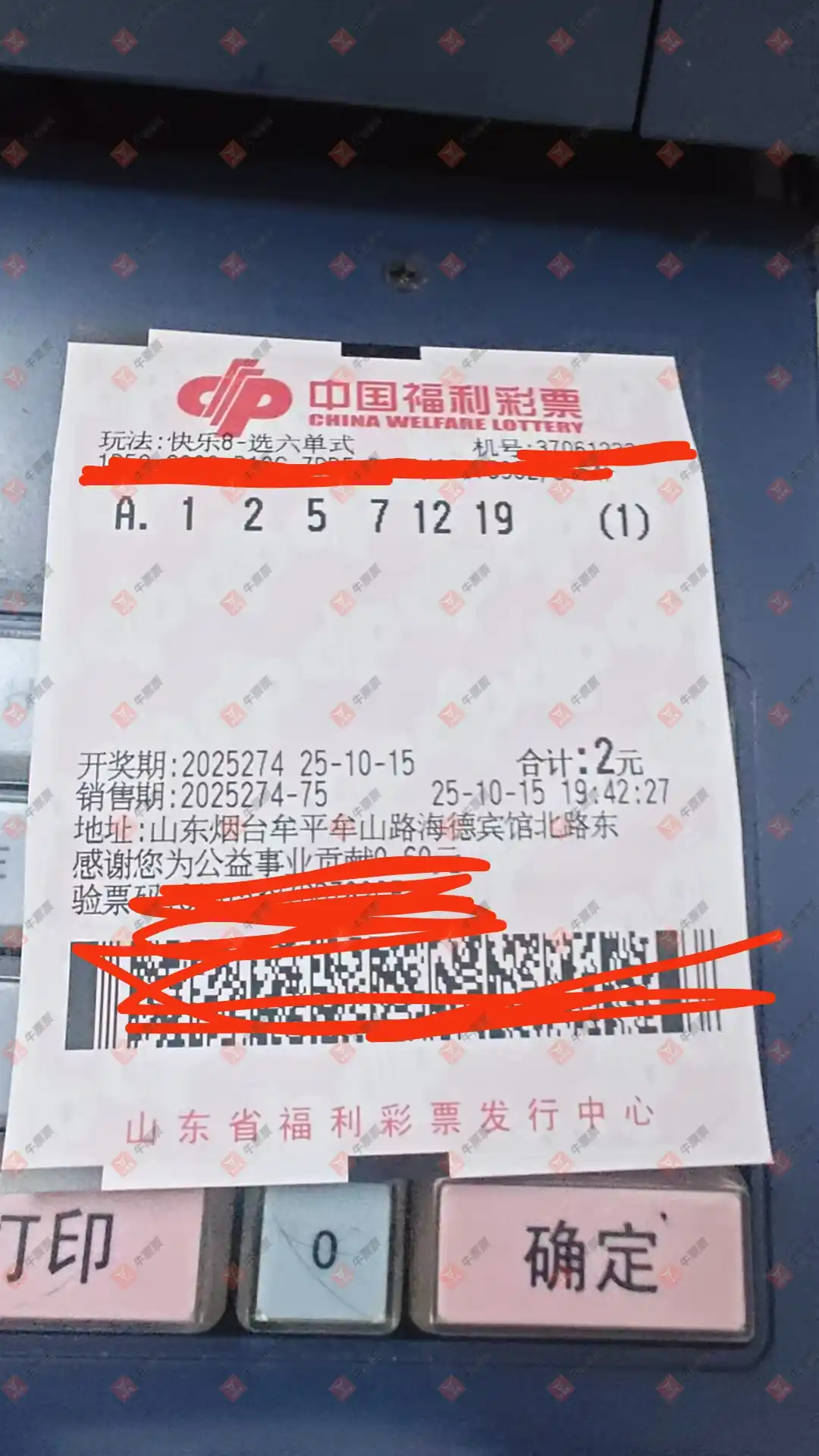 牛票票