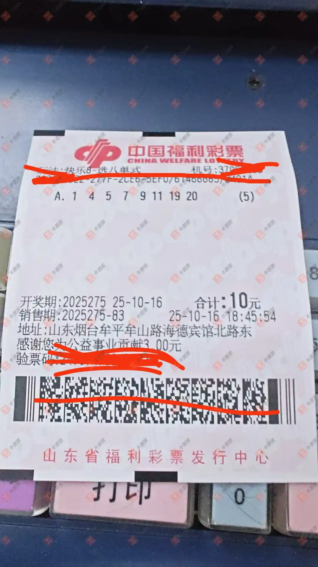 牛票票